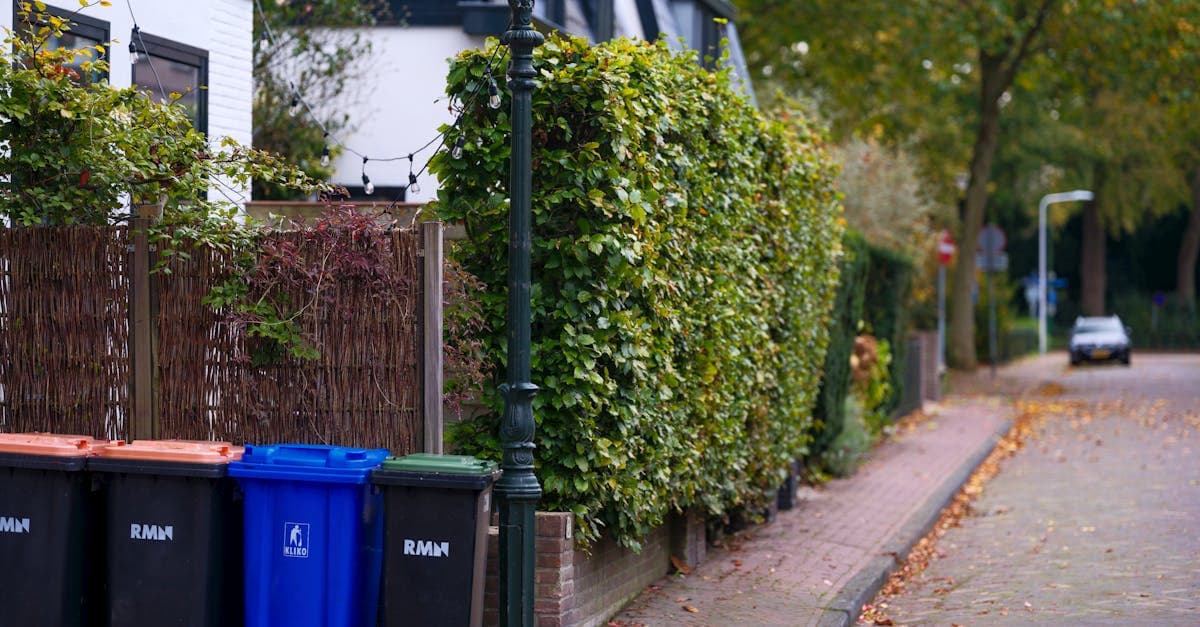 Domestic skip hire